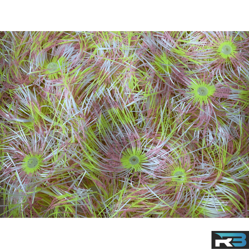 (40 Pack) Candy Shad - 2.5" Umbrella Jig Skirts - Image 3